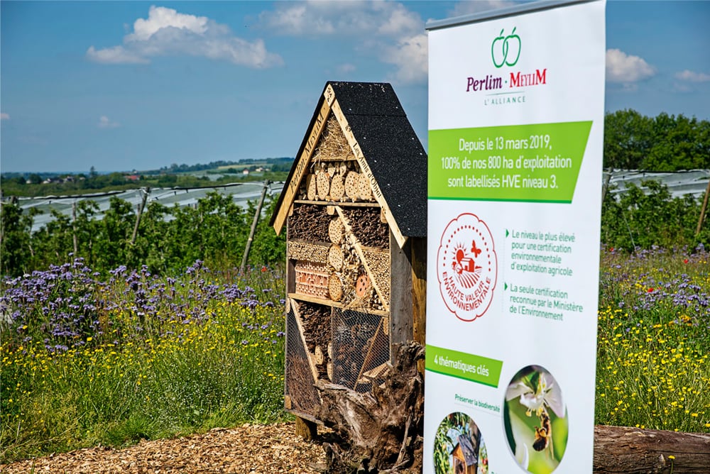 hôtel à insectes devant les vergers Alliance Perlim-Meylim
